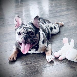 Meet your Posher, Heather